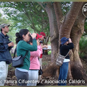 Vuelve el Censo Neotropical de Aves Acuáticas: Participa en Esta Importante Iniciativa Internacional