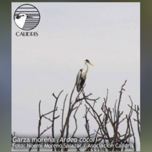 Del frío bogotano al calor del Valle