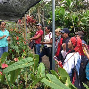 Sembrando árboles nativos y compartiendo saberes