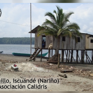 BOCANA DE ISCUANDÉ: se acerca el regreso a casa