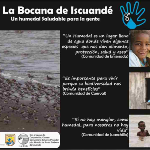 Sin el humedal no podemos vivir