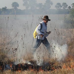 Nuestro Llano en llamas