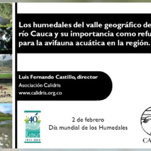 Presentación día de los Humedales 2011