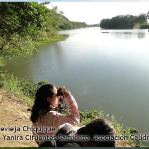 Censo Neotropical de Aves Acuáticas jornada de julio de 2014