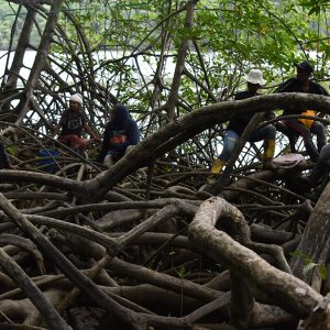Comprometidos con la conservación de un territorio