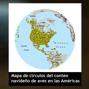 Conteo Navideño de Aves 2013 – Cupos completos