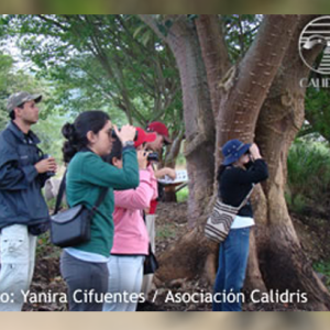 Censo Neotropical de Aves Acuáticas en el Valle del Cauca Jornada Febrero de 2013