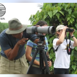 Invitación al censo neotropical de aves acuáticas 2011 Humedales del valle del cauca