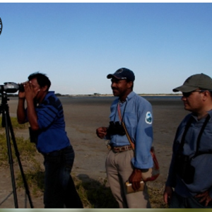 Canadá se une a “Caribe colombiano, mucho por contar 2012”.