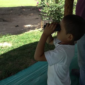 El mundo de la observación de aves