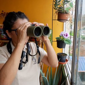 La primera pajareada desde la ventana