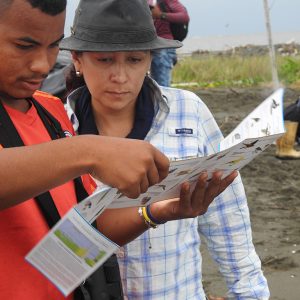 Las aves playeras son más que Chiritas