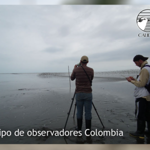 El Consejo de la Ruta Migratoria del Pacífico avaló la iniciativa Censo de aves playeras de la ruta migratoria del Pacífico