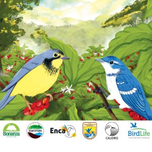 Cartilla de monitoreo participativo en Bolívar y Jamundí: Manos a la obra por la avifauna