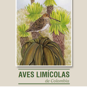 Las aves limícolas de Colombia 