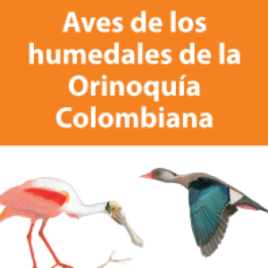 Guía de bolsillo: Aves de los humedales de la Orinoquia colombiana – VERSIÓN 2026