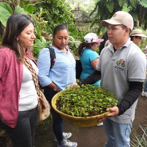 Cultivando con buenas prácticas agrícolas, conservamos aves.