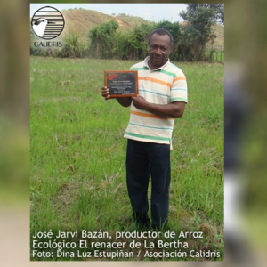 Reconocimiento a la perseverancia