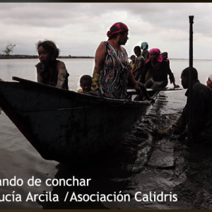 Avanza el Acuerdo de conservación de la piangua en el territorio del Consejo Comunitario Esfuerzo Pescador