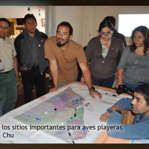 Nuevos sitios en la costa de Perú, para el monitoreo de aves playeras