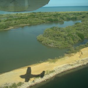Sobrevolando humedales en busca de patos