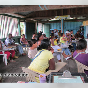 Regresa el festival de la migración