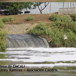 Un Sitio de Vida y Desolación