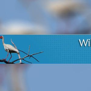 Wiki Aves de Colombia: una herramienta virtual con información sobre las aves de Colombia